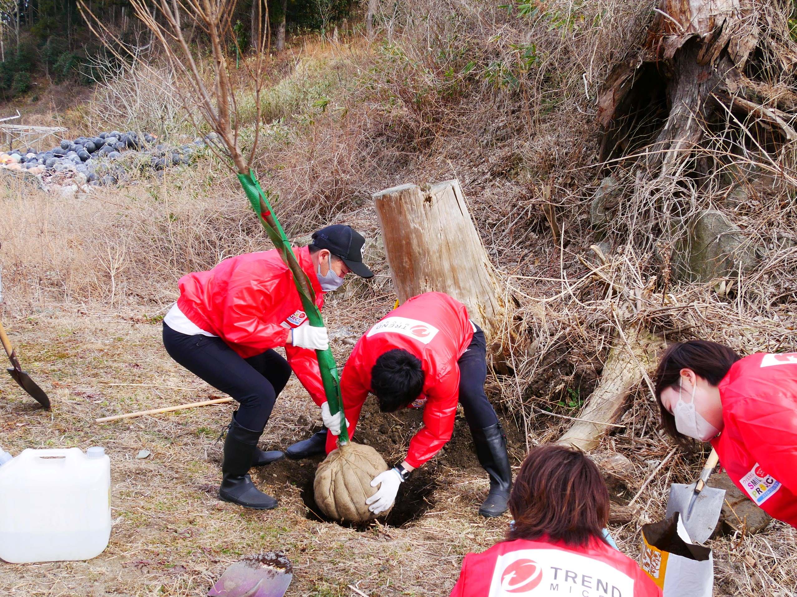 植樹会ボランティア　イメージ