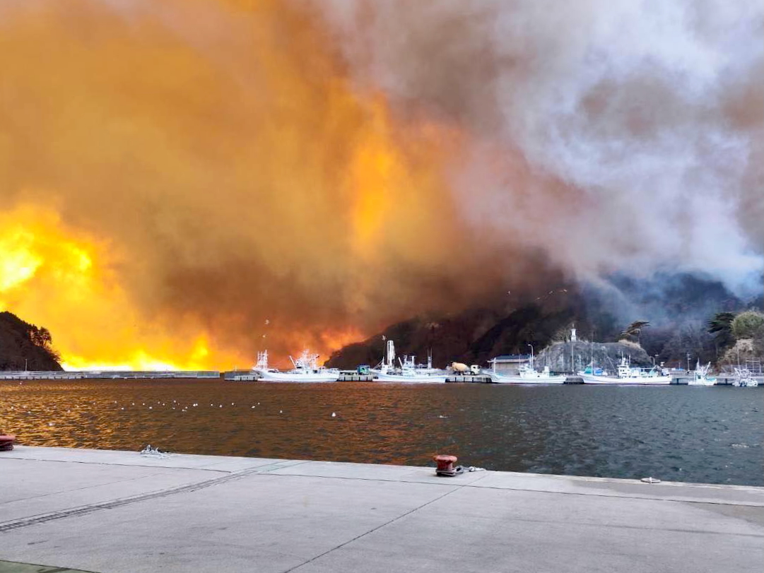 災害対応】岩手県大船渡市で延焼拡大している山林火災について | 桜